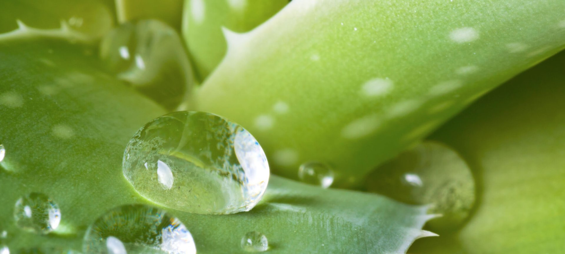 Repair Post Winter Skin For A Sunny Start To Spring Article
